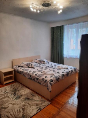 Apartament Central